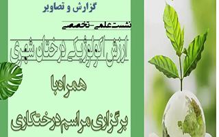گزارش و تصاویر نشست ارزش اکولوژیکی درختان شهری